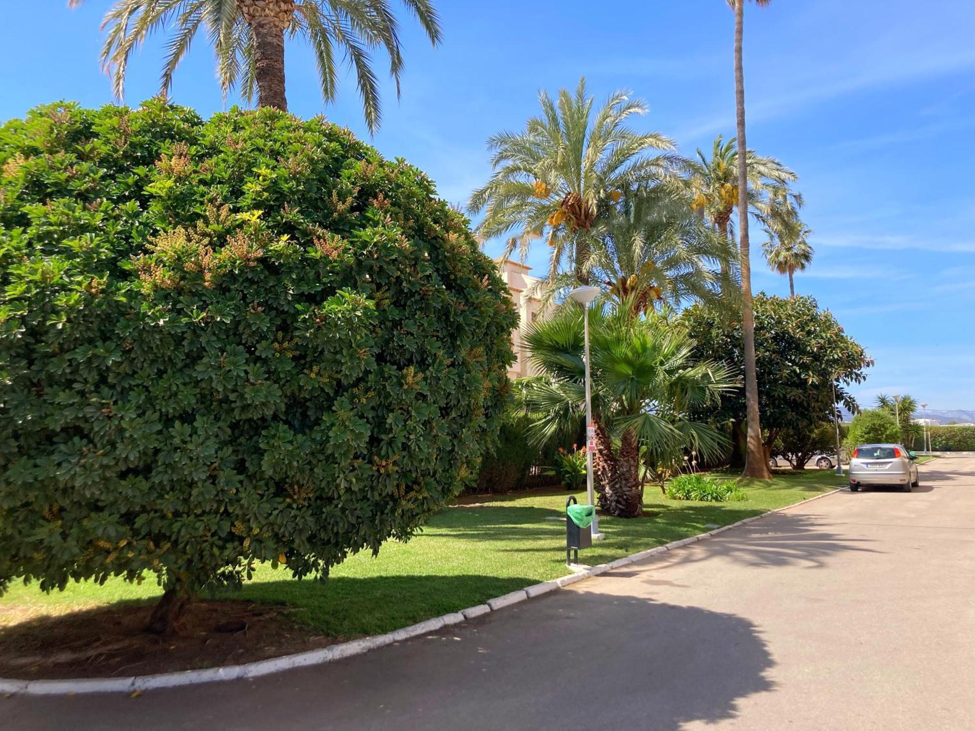 Arenal Playa * Javea